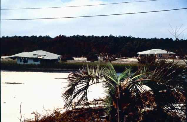 Pawleys Island (Wes Tyler)